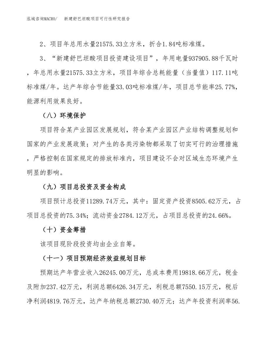 新建舒巴坦酸项目可行性研究报告(投资申报).docx_第5页