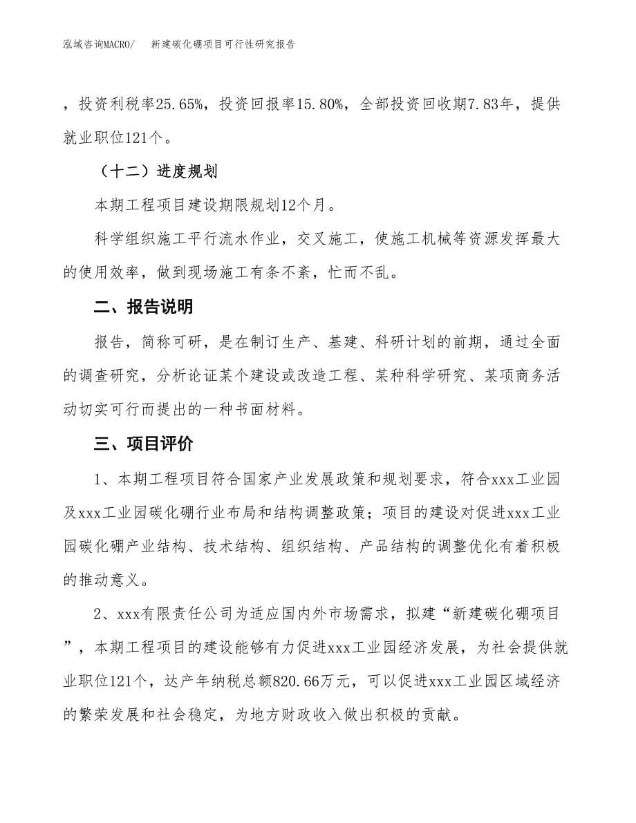 新建碳化硼项目可行性研究报告(投资申报).docx_第5页