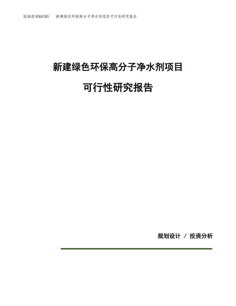 新建绿色环保高分子净水剂项目可行性研究报告(投资申报).docx_第1页