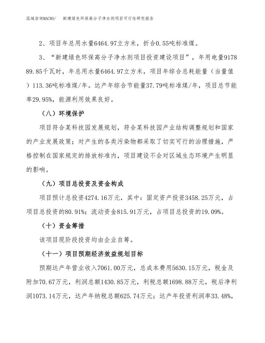 新建绿色环保高分子净水剂项目可行性研究报告(投资申报).docx_第5页