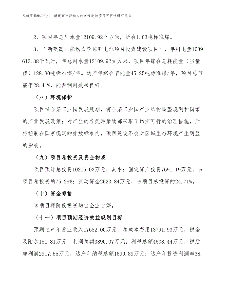 新建高比能动力软包锂电池项目可行性研究报告(投资申报).docx_第4页