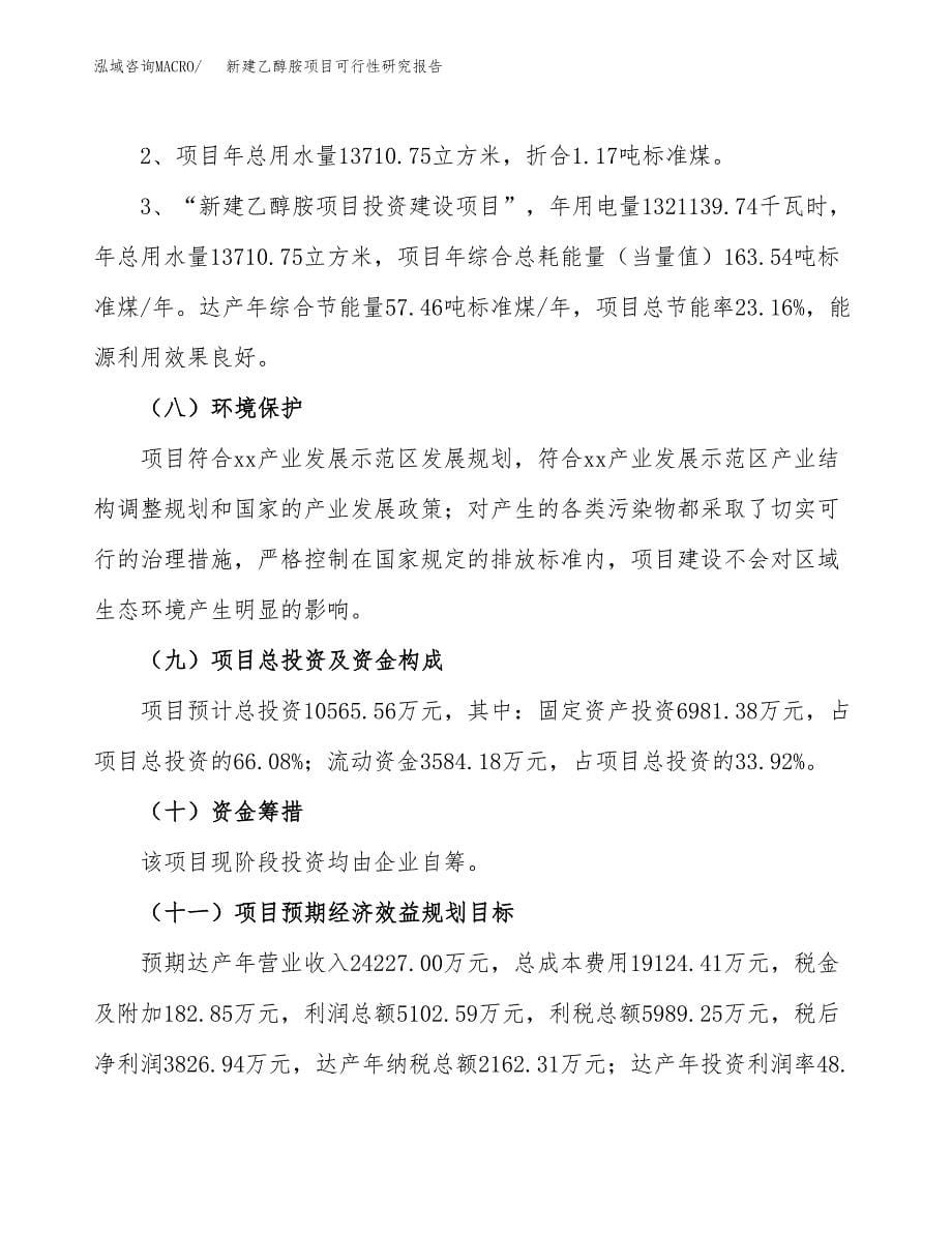 新建乙醇胺项目可行性研究报告(投资申报).docx_第5页