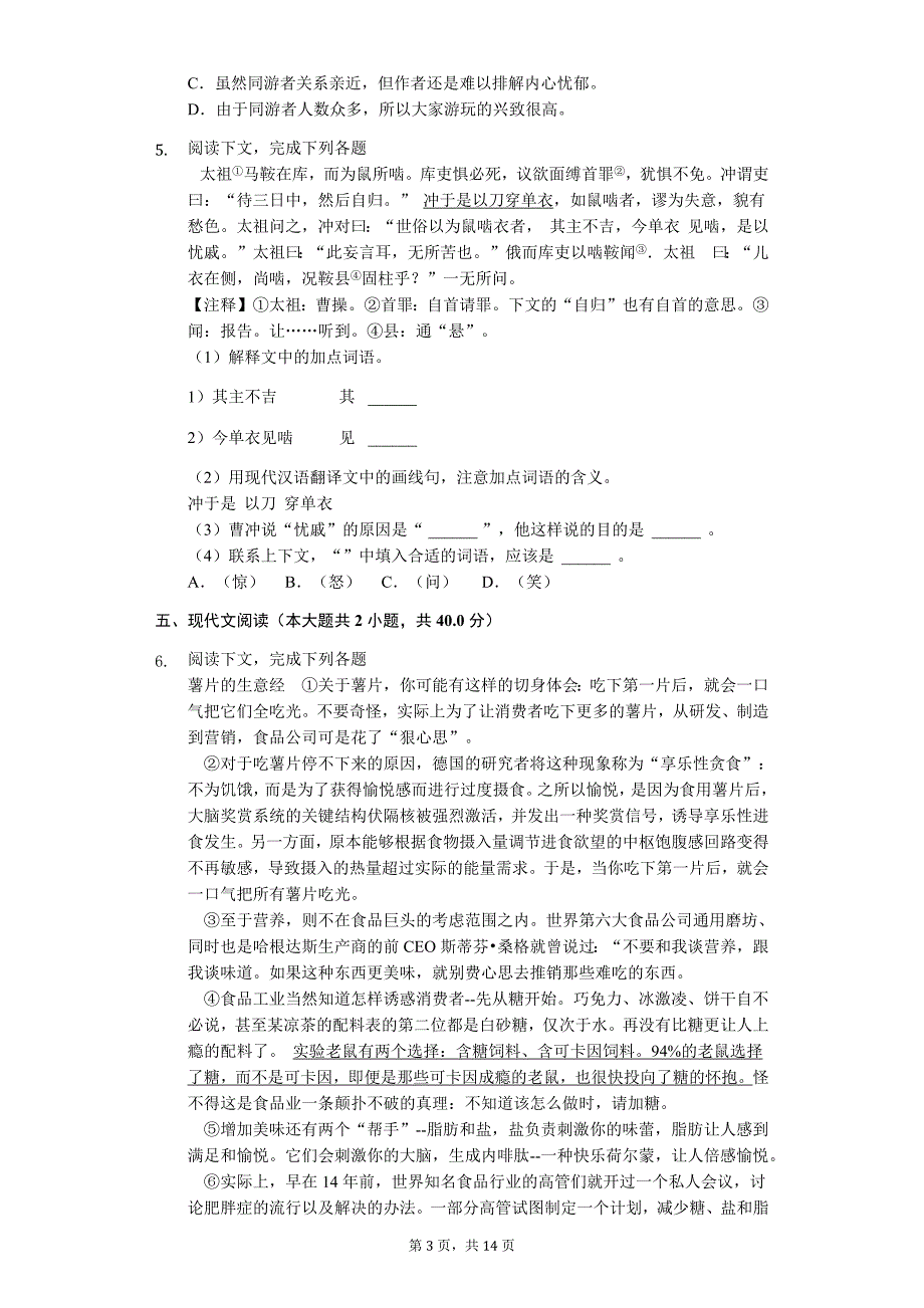 上海市中考语文模拟提高试卷 (40)_第3页