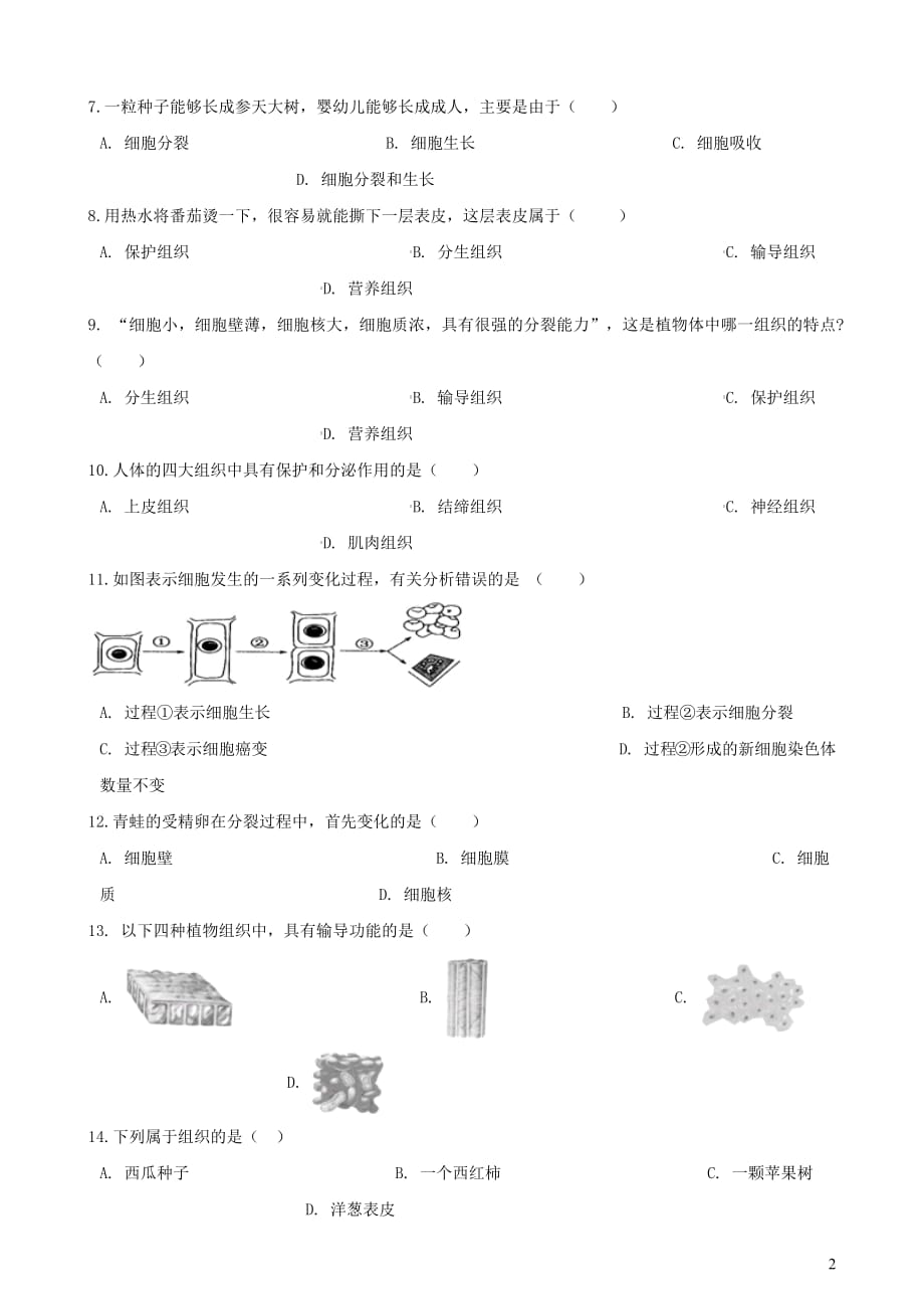 2019年中考生物多细胞生物体的结构层次专题复习（无答案）_第2页