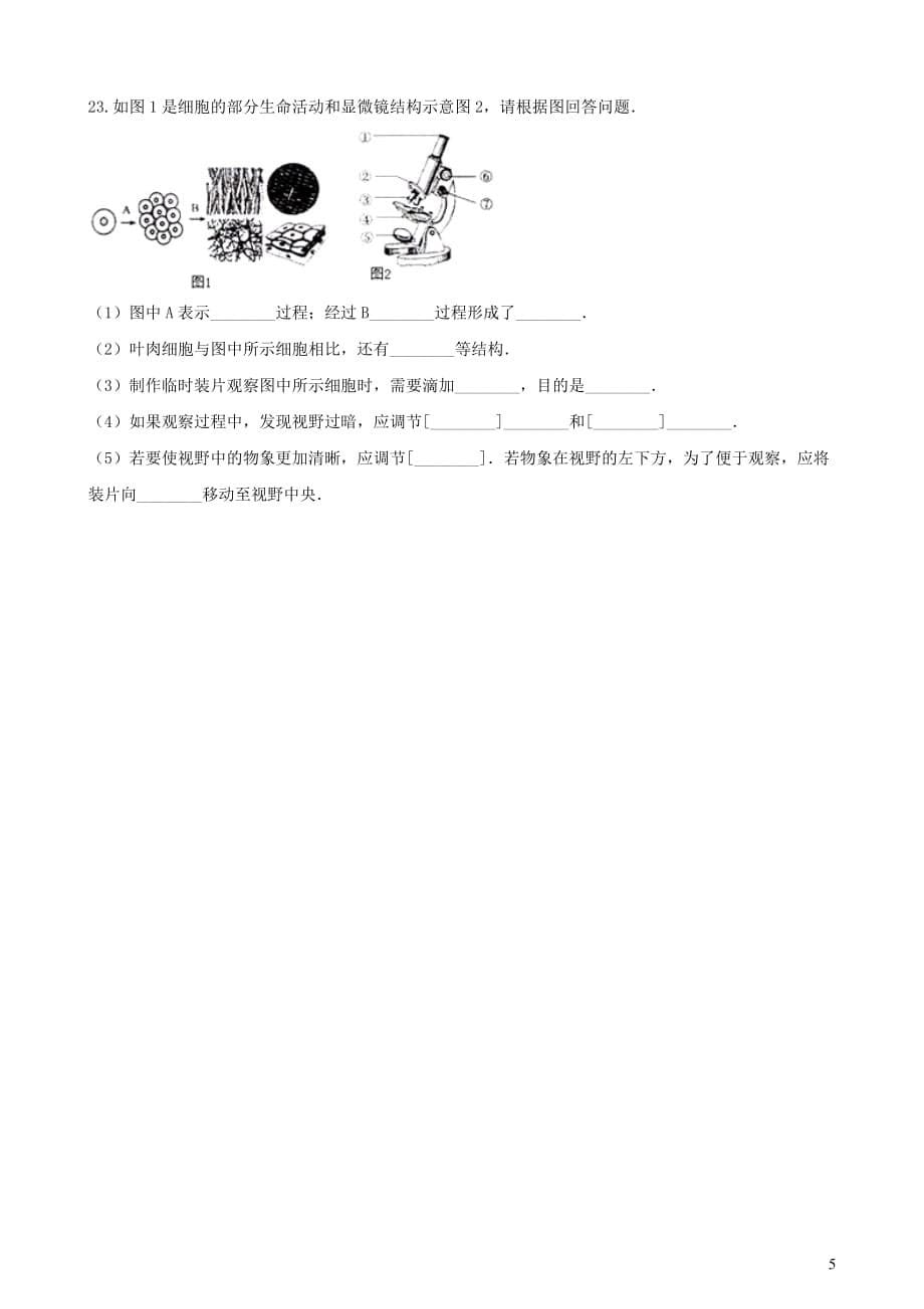 2019年中考生物多细胞生物体的结构层次专题复习（无答案）_第5页