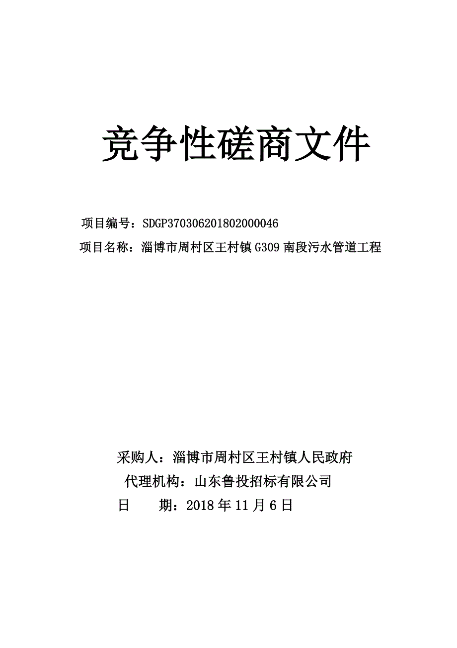 王村镇G309南段污水管道工程招标文件_第1页