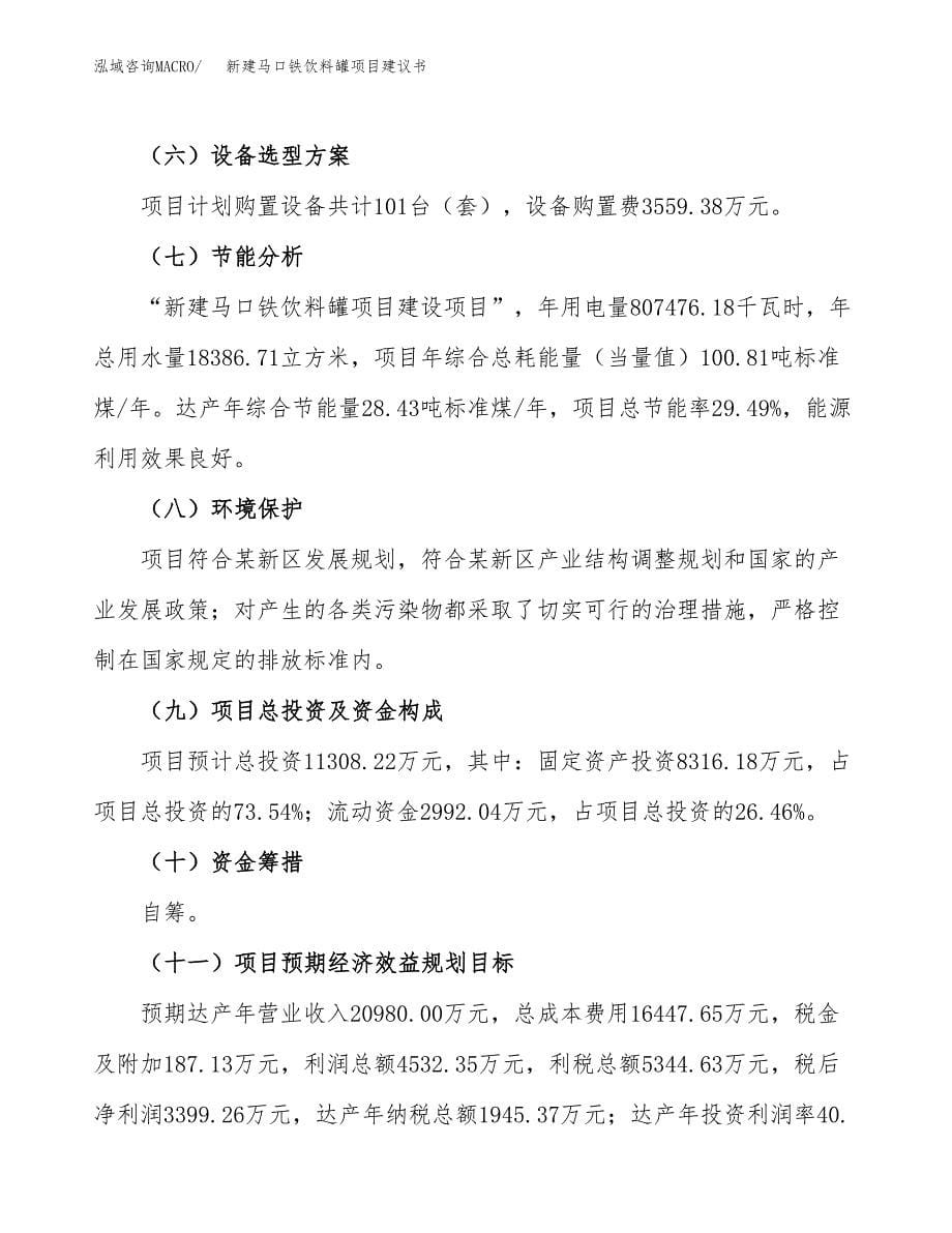 新建马口铁饮料罐项目建议书(项目申请方案).docx_第5页