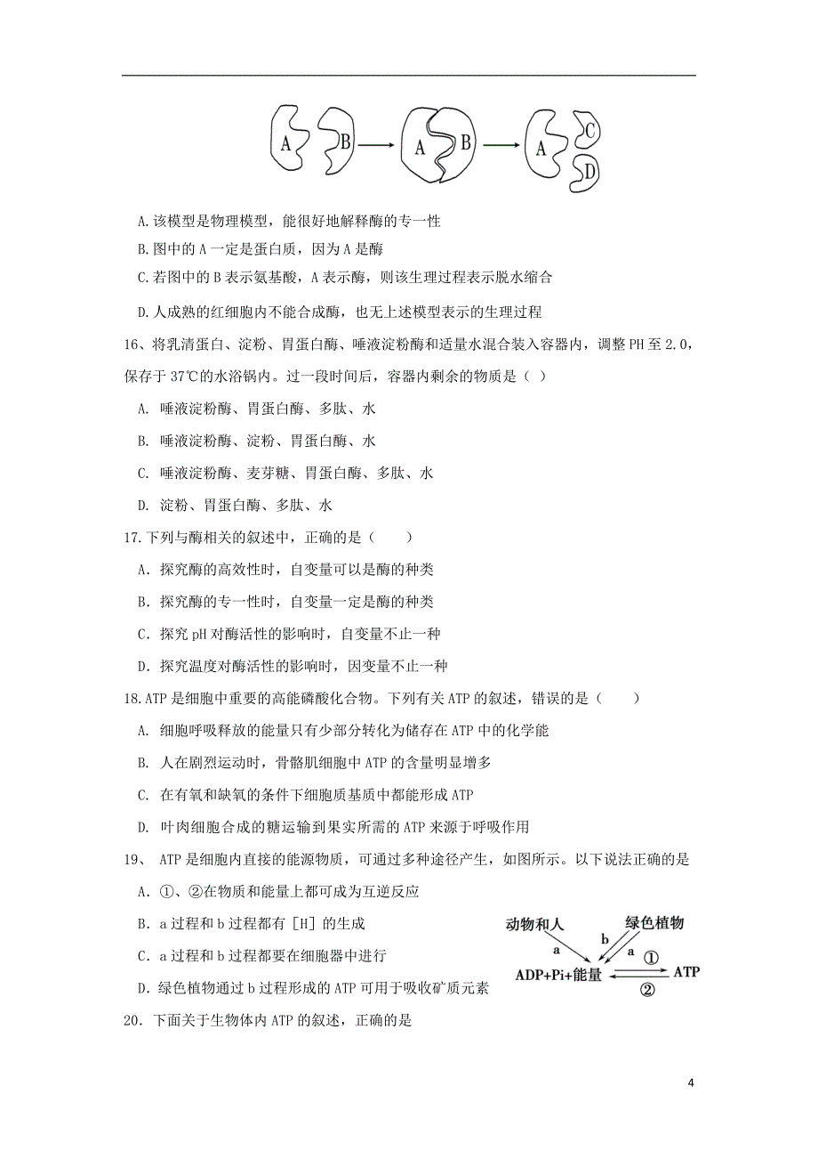 河北省2018_2019学年高一生物上学期期末考试试题（实验部）_第4页