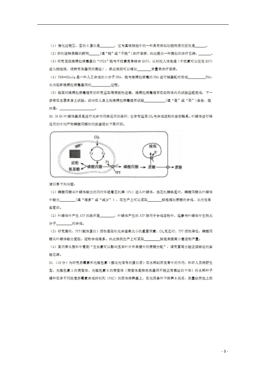 福建省莆田市第二十四中学2019届高三生物上学期第一次调研考试试题扫描版201809270122_第3页