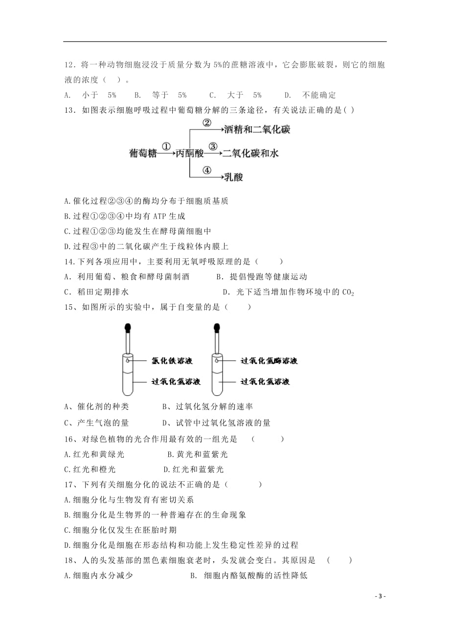 海南省海口市第四中学2018_2019高一生物上学期期末考试试题_第3页