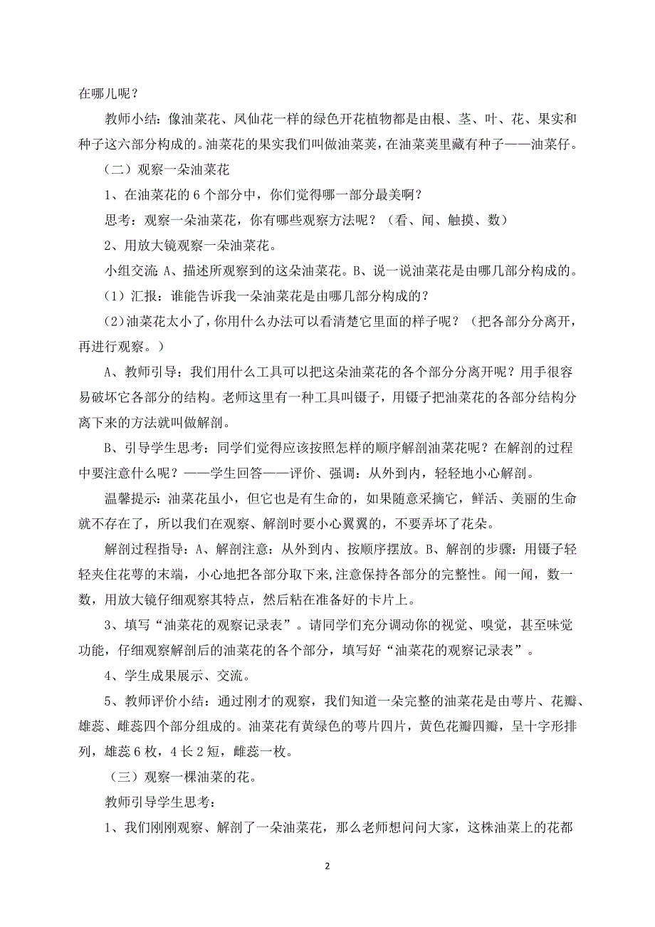 四年级下册科学教案2.1 油菜花开了教科版 (1)_第2页