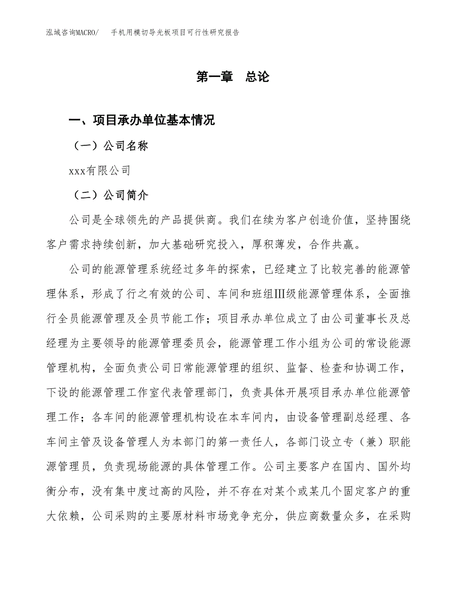 手机用模切导光板项目可行性研究报告样例参考模板.docx_第4页