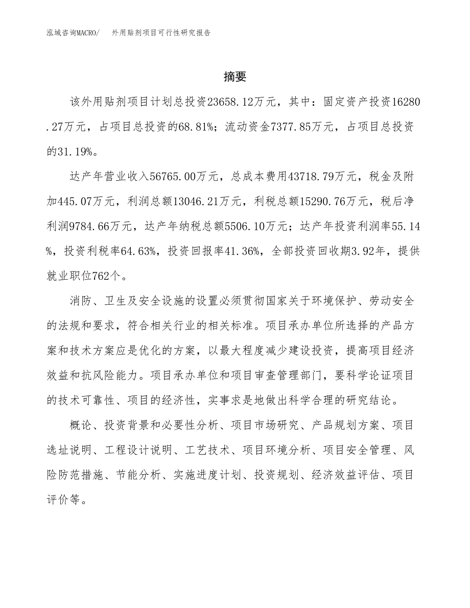 外用贴剂项目可行性研究报告样例参考模板.docx_第2页