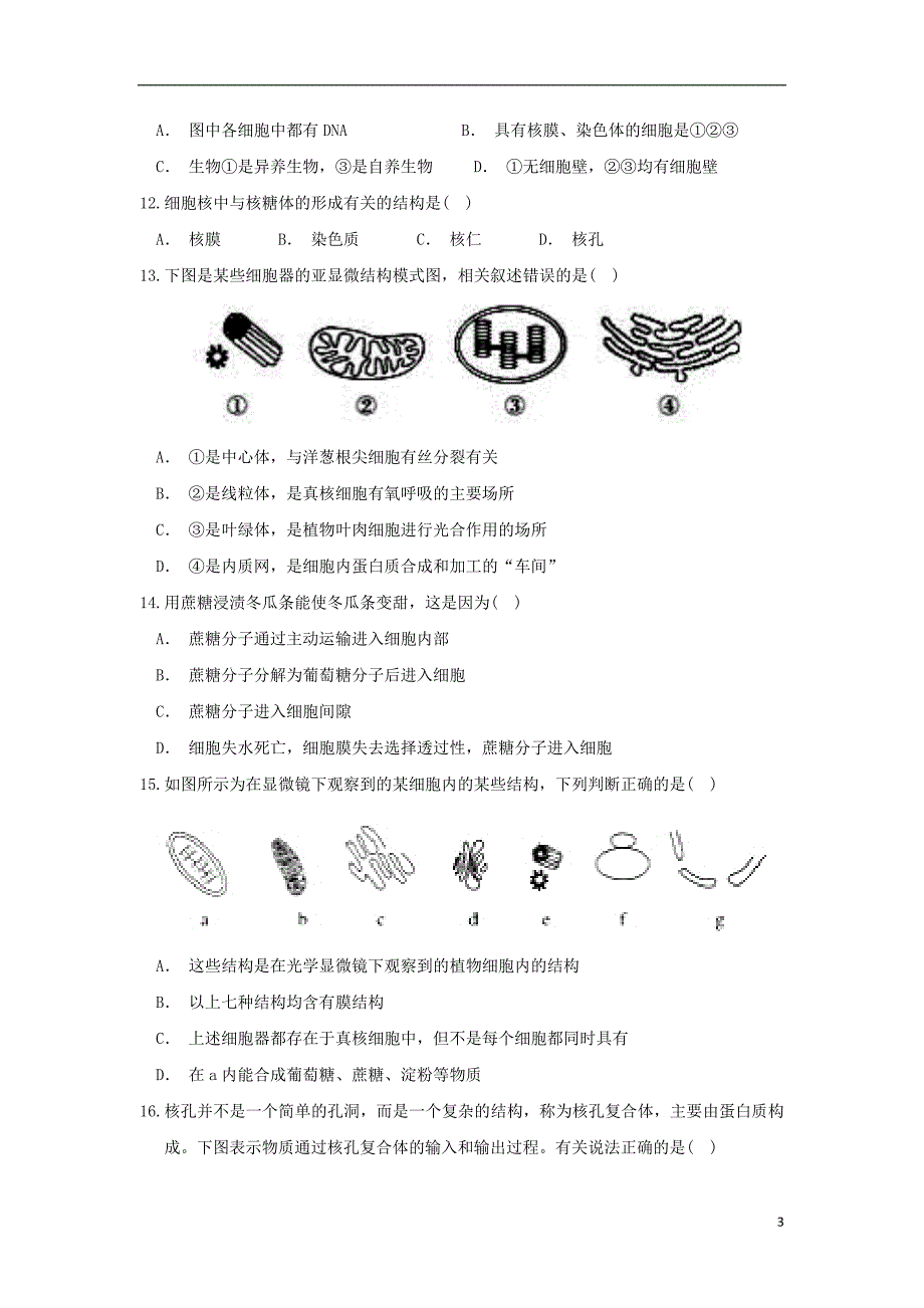 甘肃省武威市第六中学2018_2019学年高二生物上学期第三次学段考试试题_第3页