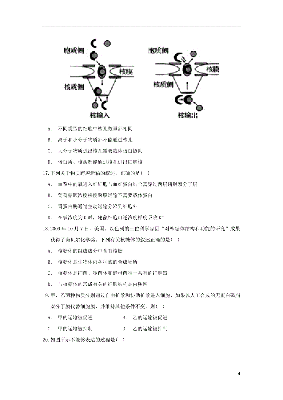 甘肃省武威市第六中学2018_2019学年高二生物上学期第三次学段考试试题_第4页