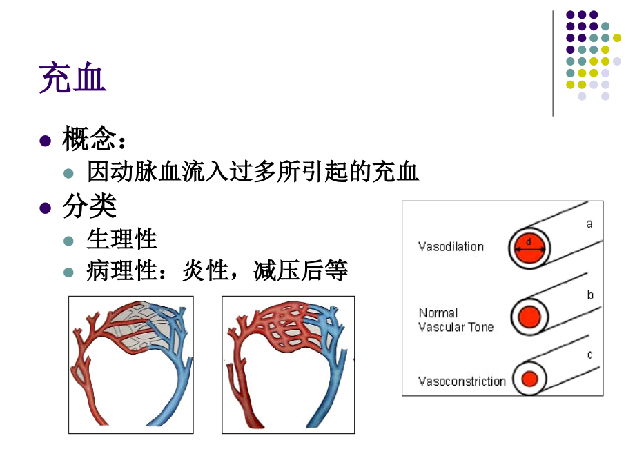 血液循环new_第3页