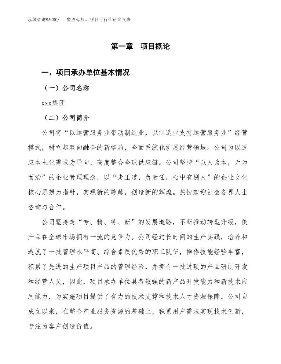 塑胶母粒项目可行性研究报告样例参考模板.docx_第5页