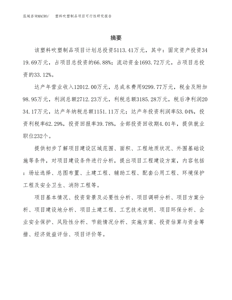 塑料吹塑制品项目可行性研究报告样例参考模板.docx_第2页