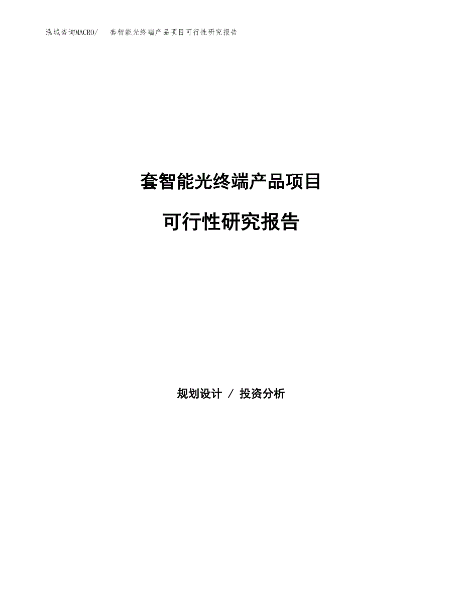 套智能光终端产品项目可行性研究报告样例参考模板.docx_第1页