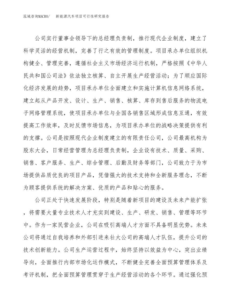 新能源汽车项目可行性研究报告样例参考模板.docx_第5页