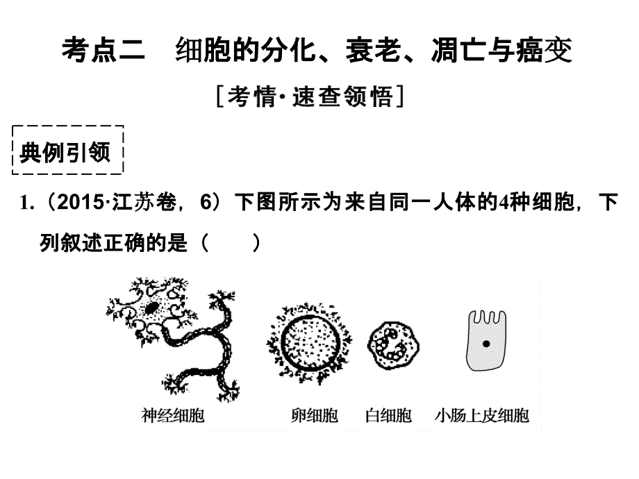 2016年届分化,衰老,凋亡,癌变二轮复习专题_第1页