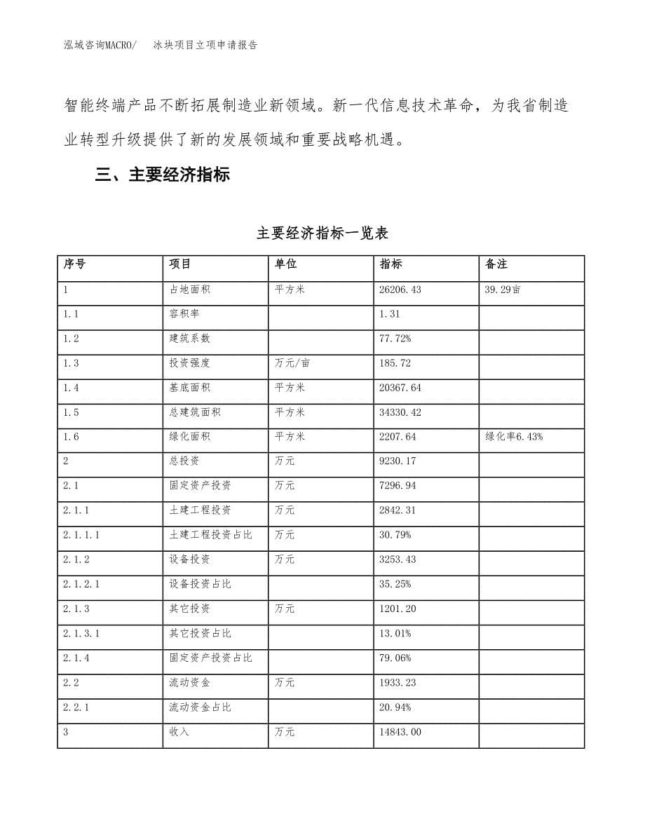 冰块项目立项申请报告样例参考.docx_第5页