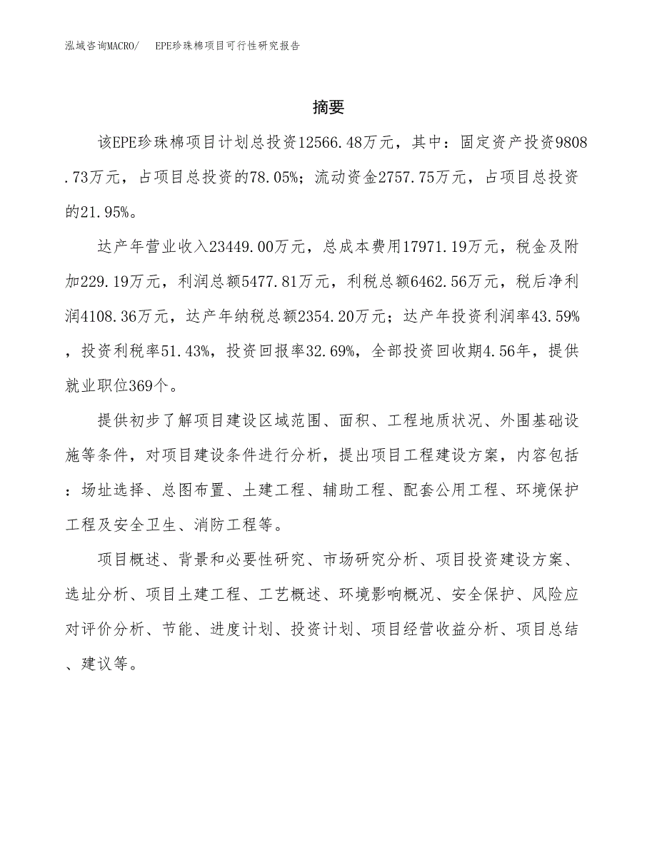 EPE珍珠棉项目可行性研究报告样例参考模板.docx_第2页