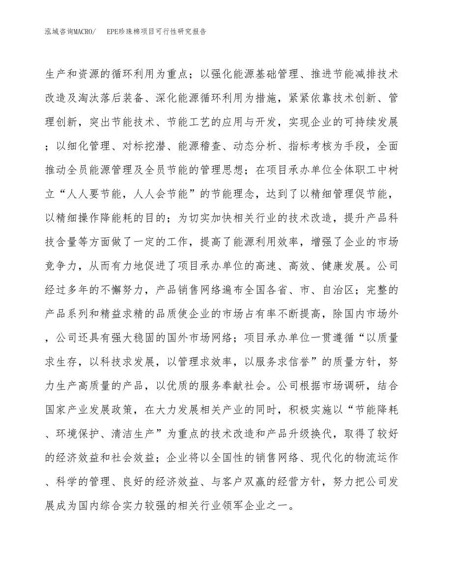 EPE珍珠棉项目可行性研究报告样例参考模板.docx_第5页