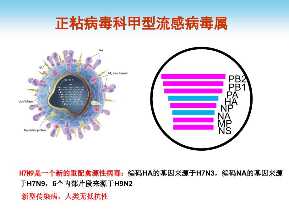 培训课件：H7N9禽流感诊疗方案与流程_第3页