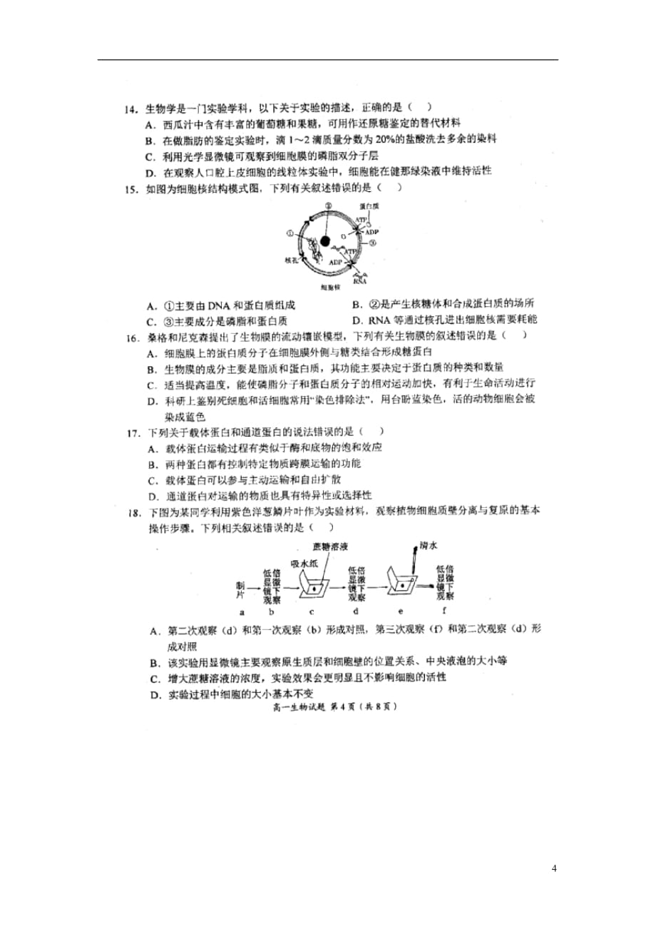 河南省豫南九校2018_2019学年高一生物上学期第三次联考试题（扫描版无答案）_第4页