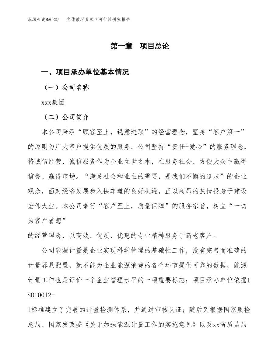 文体教玩具项目可行性研究报告样例参考模板.docx_第5页