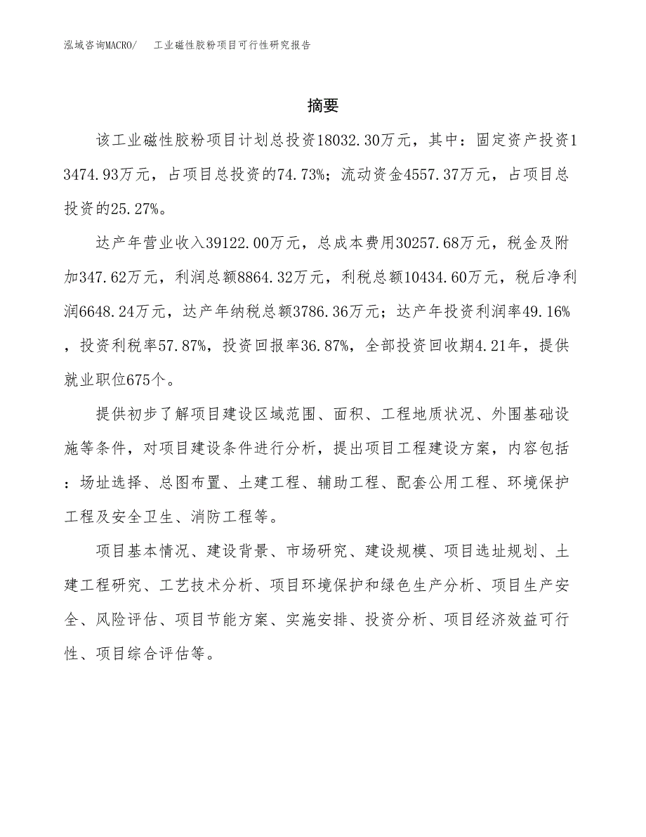 工业磁性胶粉项目可行性研究报告样例参考模板.docx_第2页