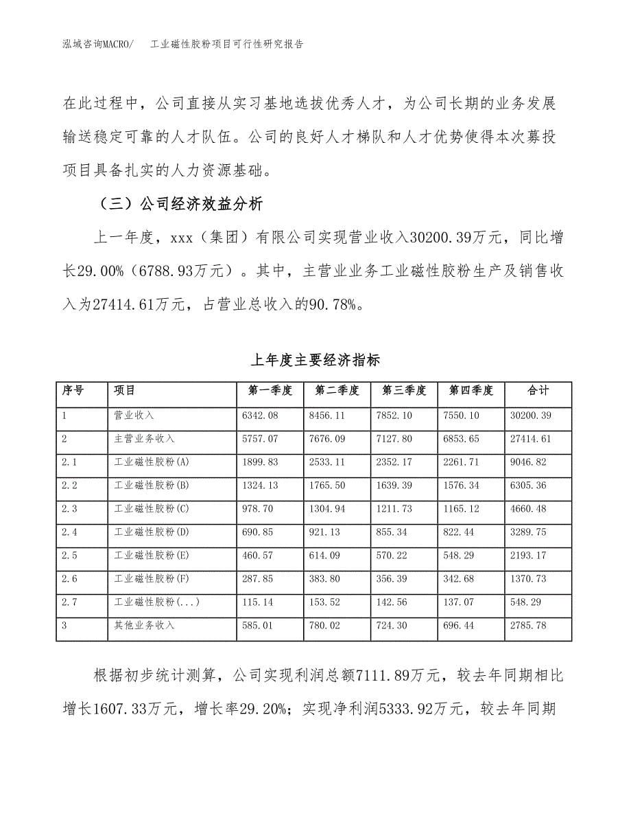 工业磁性胶粉项目可行性研究报告样例参考模板.docx_第5页