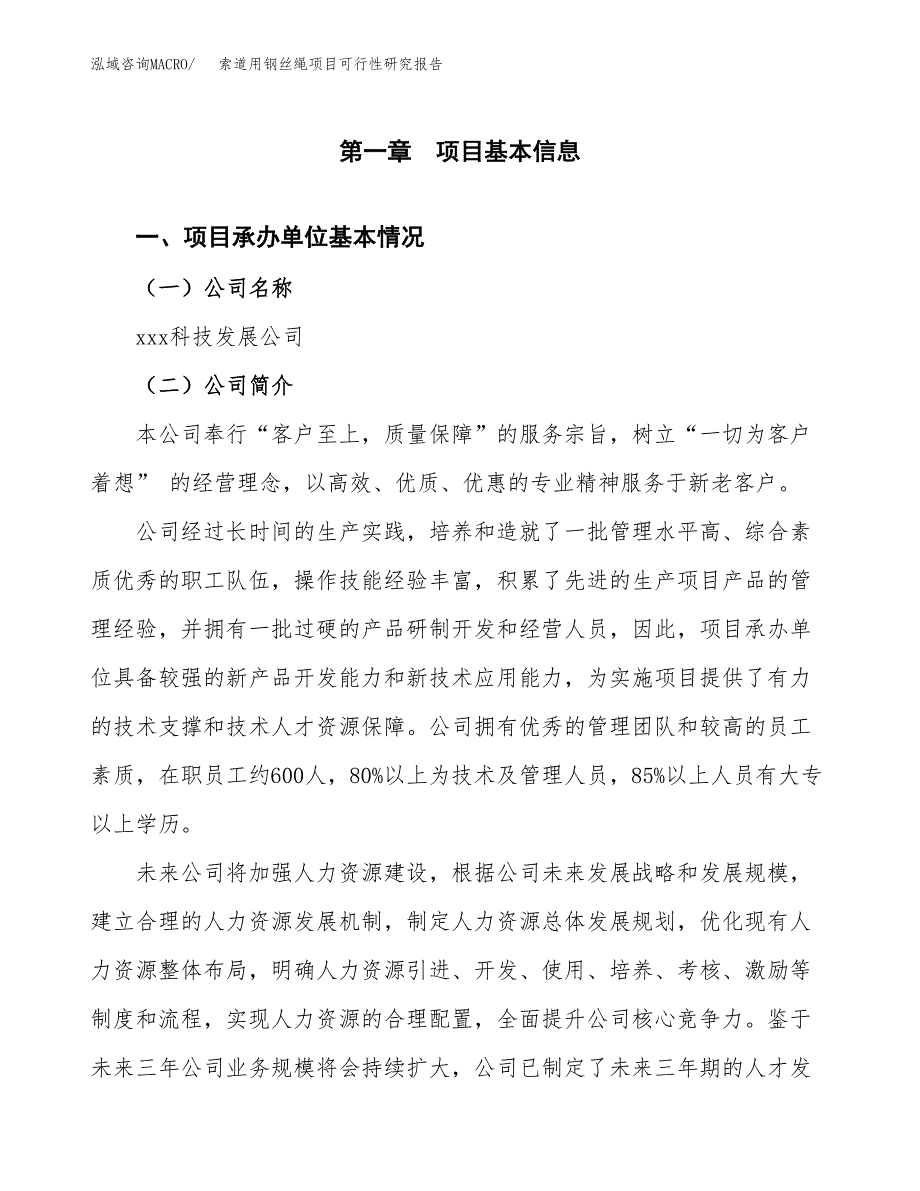 手机显示屏项目可行性研究报告样例参考模板.docx_第4页