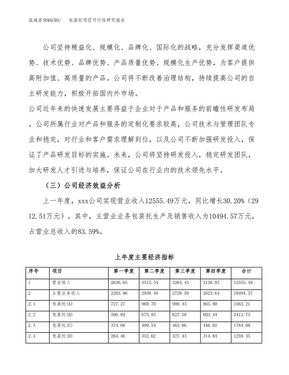 包装托项目可行性研究报告样例参考模板.docx_第5页