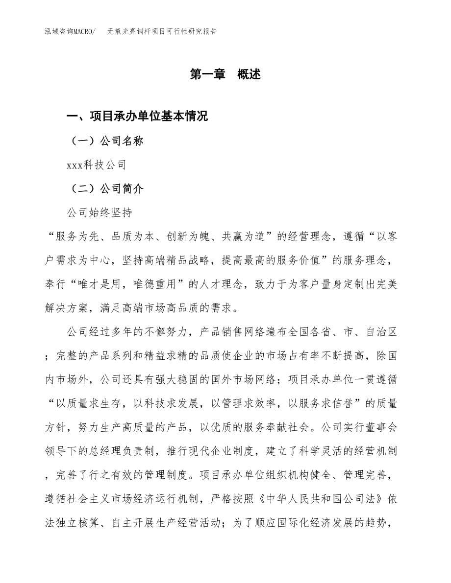 无氧光亮铜杆项目可行性研究报告样例参考模板.docx_第5页