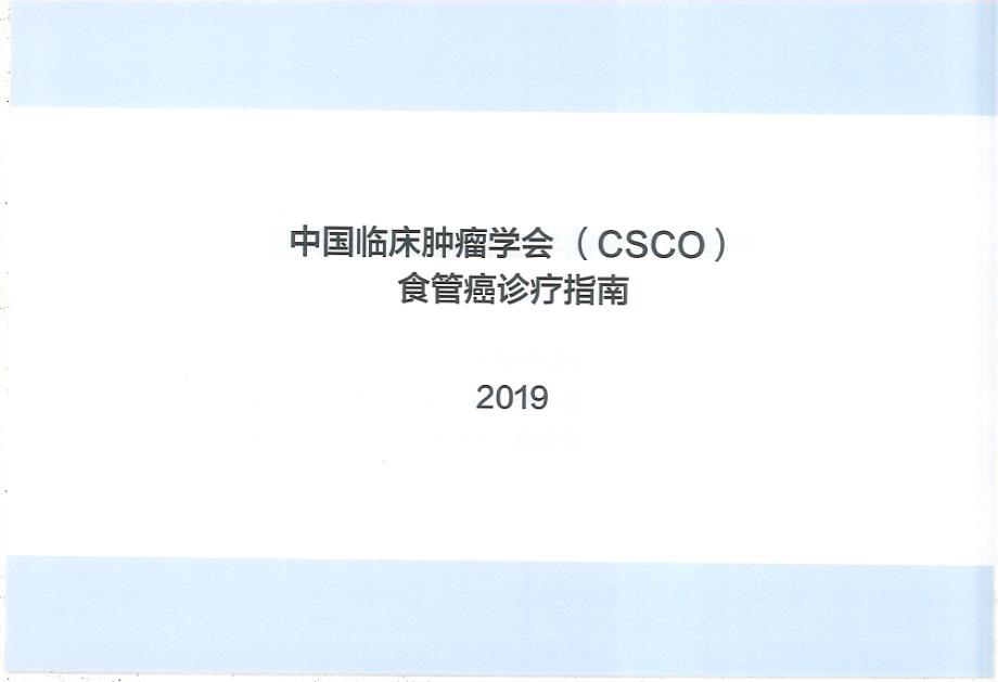 食管癌诊疗指南-2019CSCO_第1页