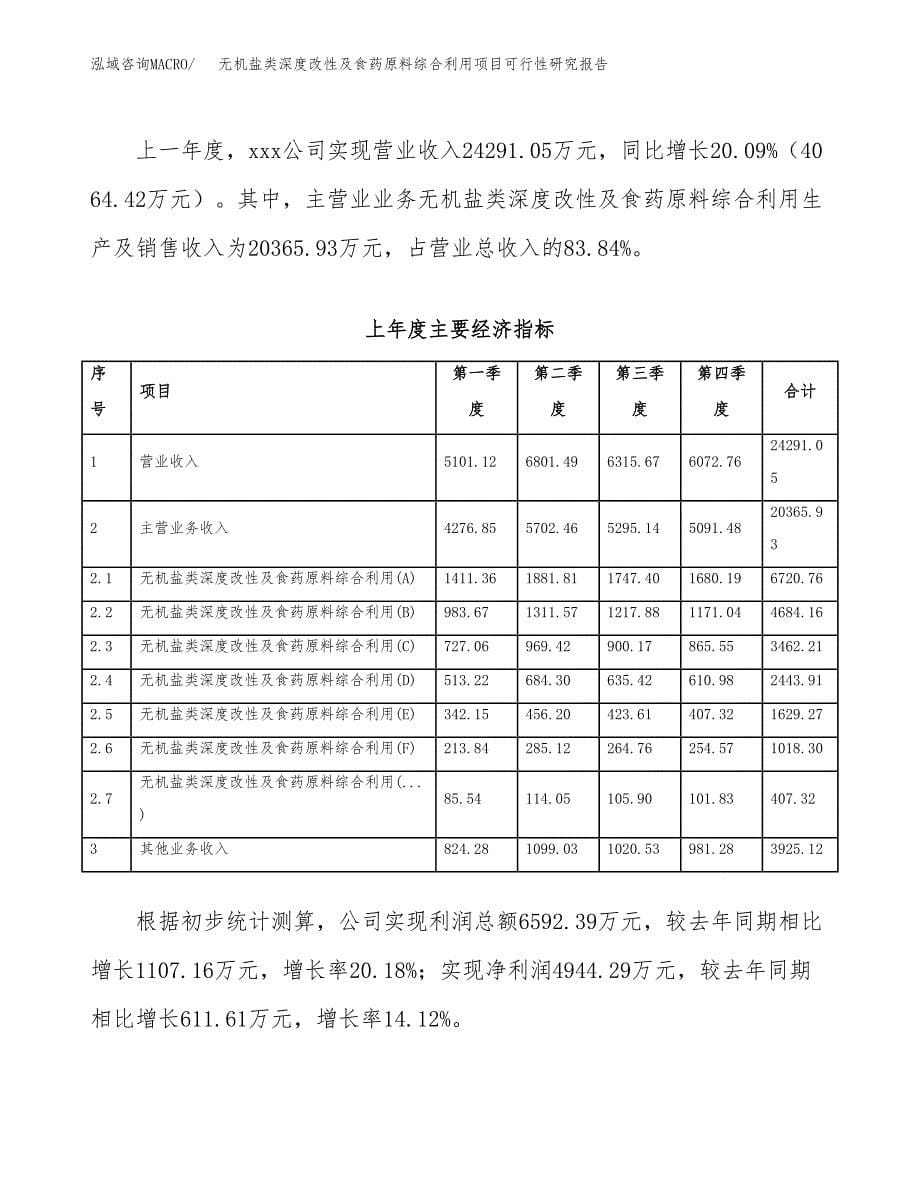 无机盐类深度改性及食药原料综合利用项目可行性研究报告样例参考模板.docx_第5页