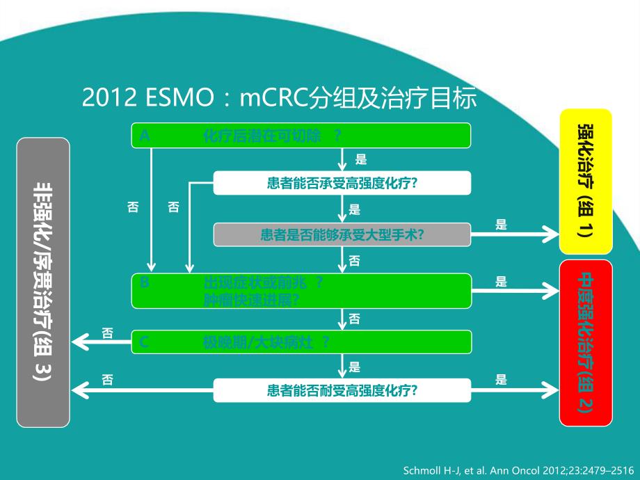 ESMO+2015+共识指南更新_第4页