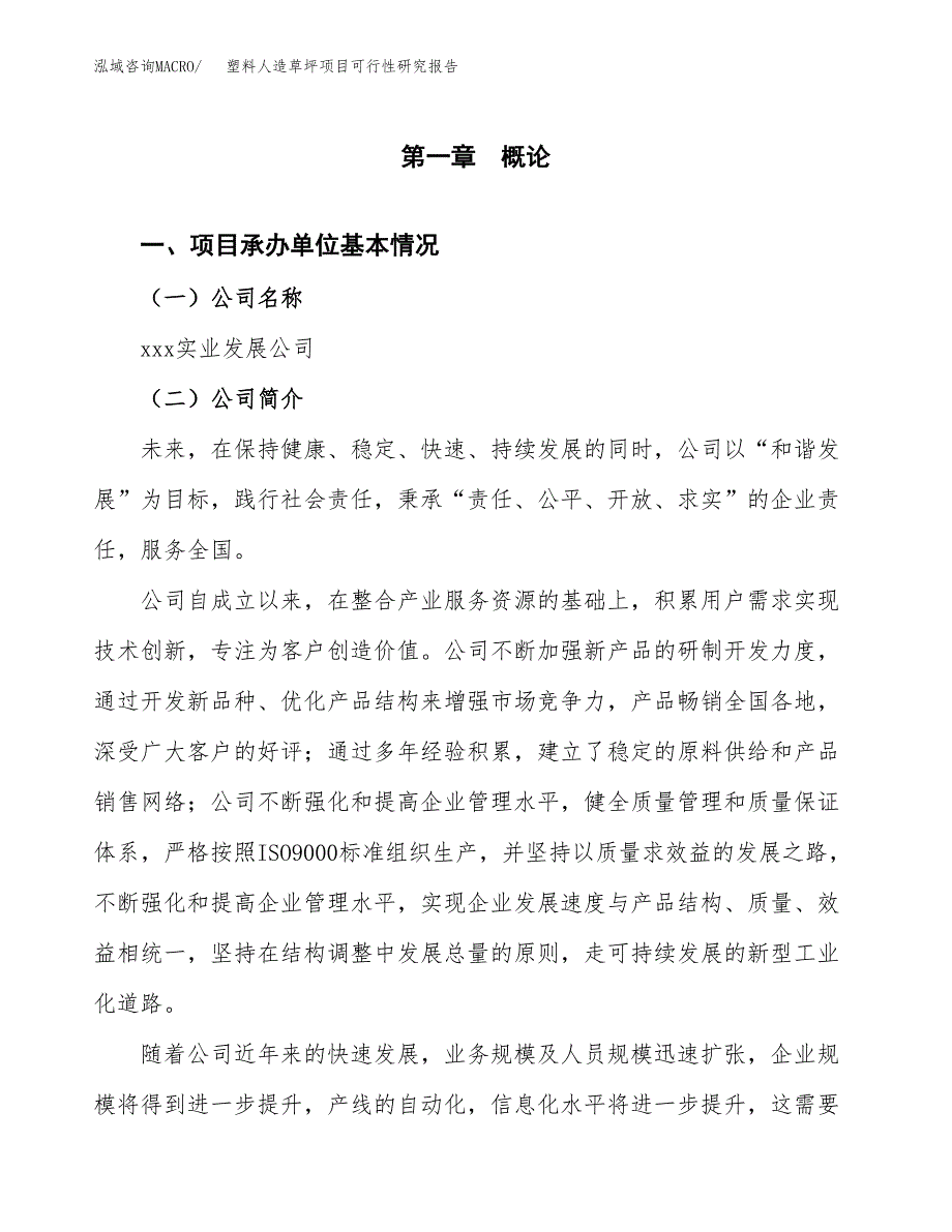 塑料人造草坪项目可行性研究报告样例参考模板.docx_第4页