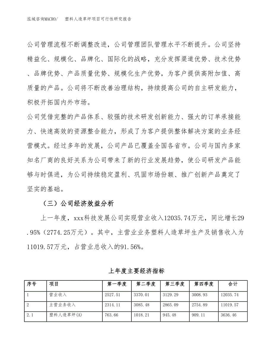 塑料人造草坪项目可行性研究报告样例参考模板.docx_第5页