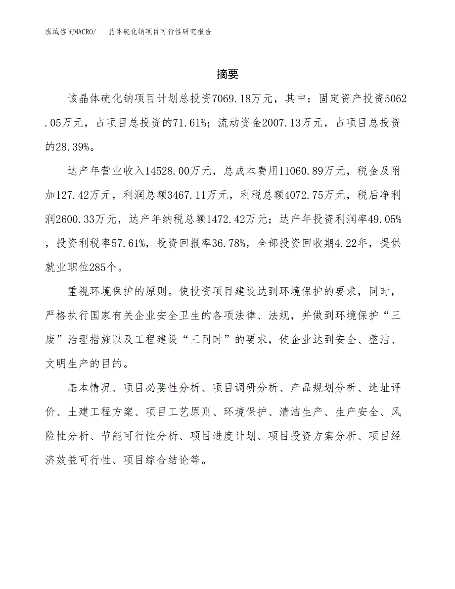 晶体硫化钠项目可行性研究报告样例参考模板.docx_第2页