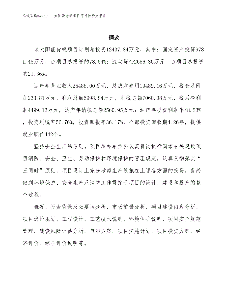 太阳能背板项目可行性研究报告样例参考模板.docx_第2页