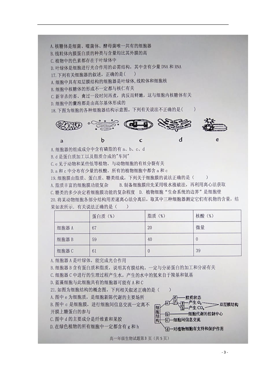 河北省2018_2019学年高一生物上学期第二次月考试题（扫描版）_第3页