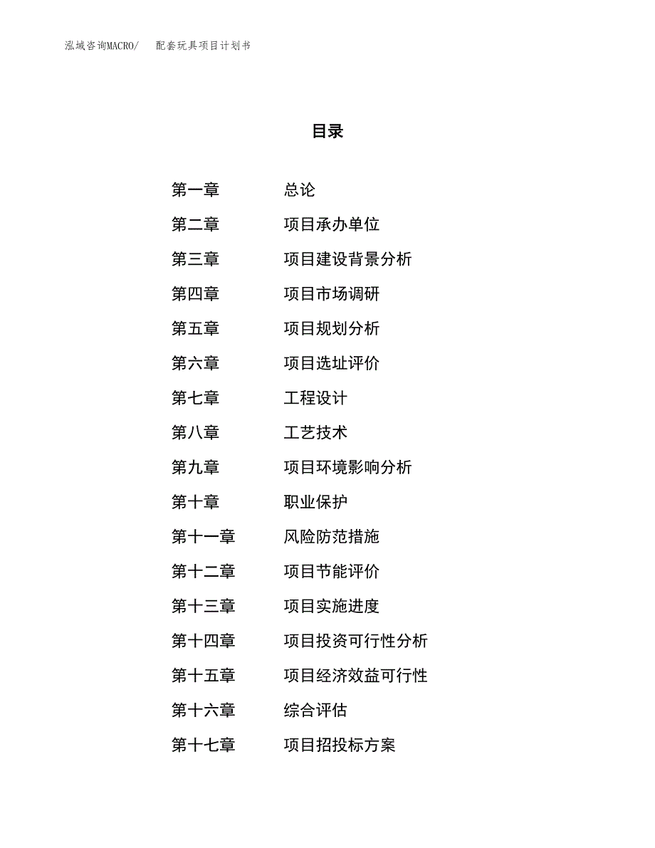 配套玩具项目计划书.docx_第1页