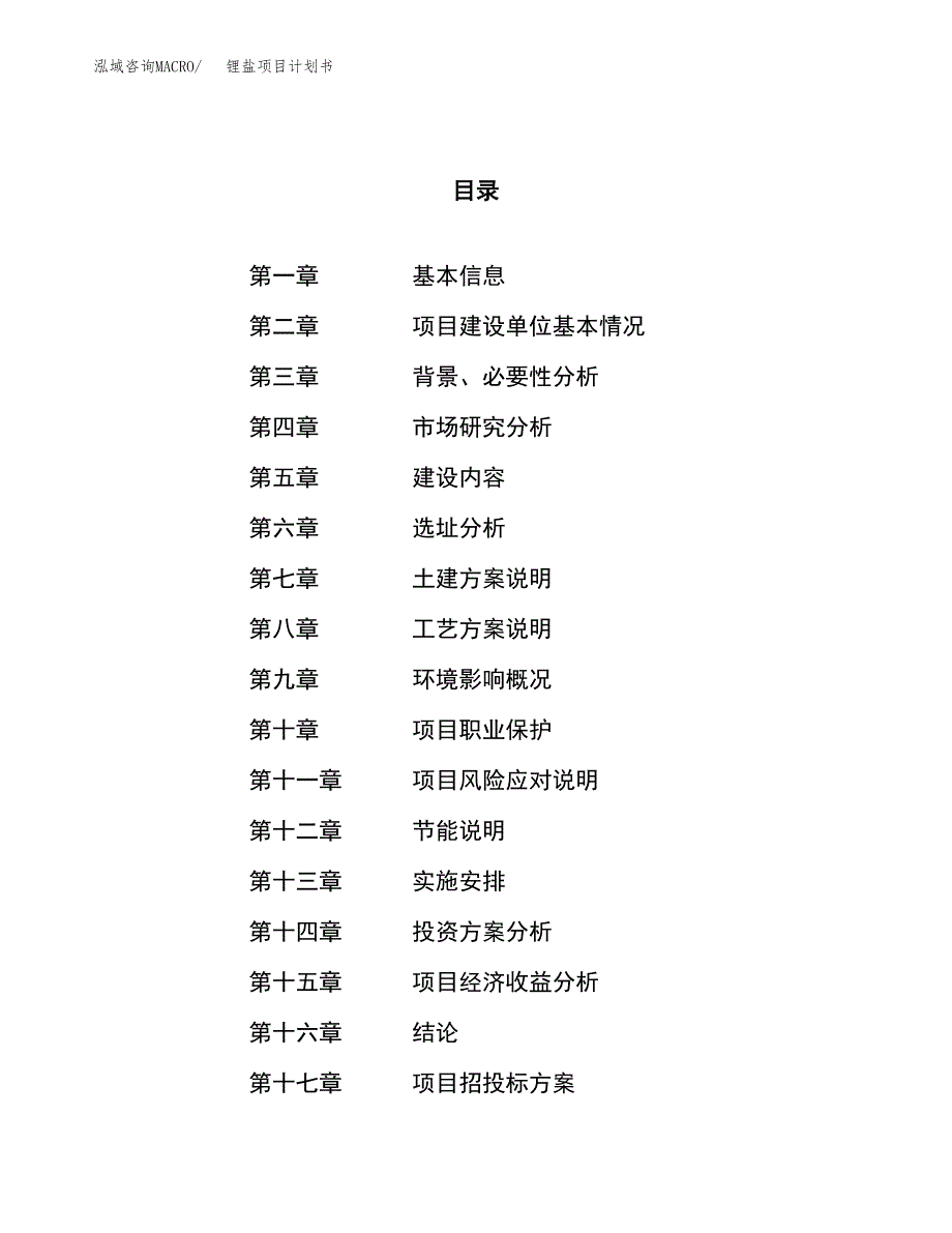 锂盐项目计划书.docx_第1页