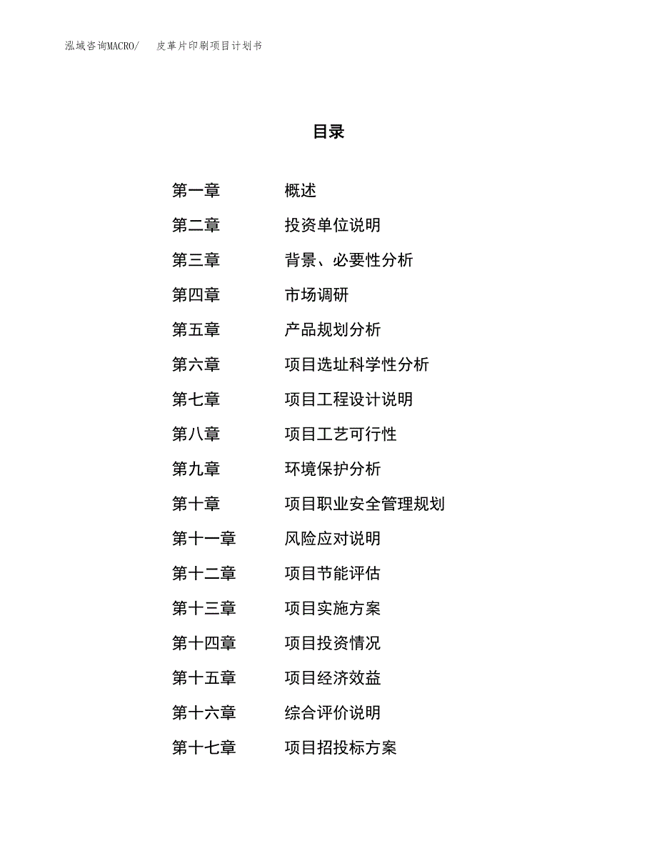 皮革片印刷项目计划书.docx_第1页