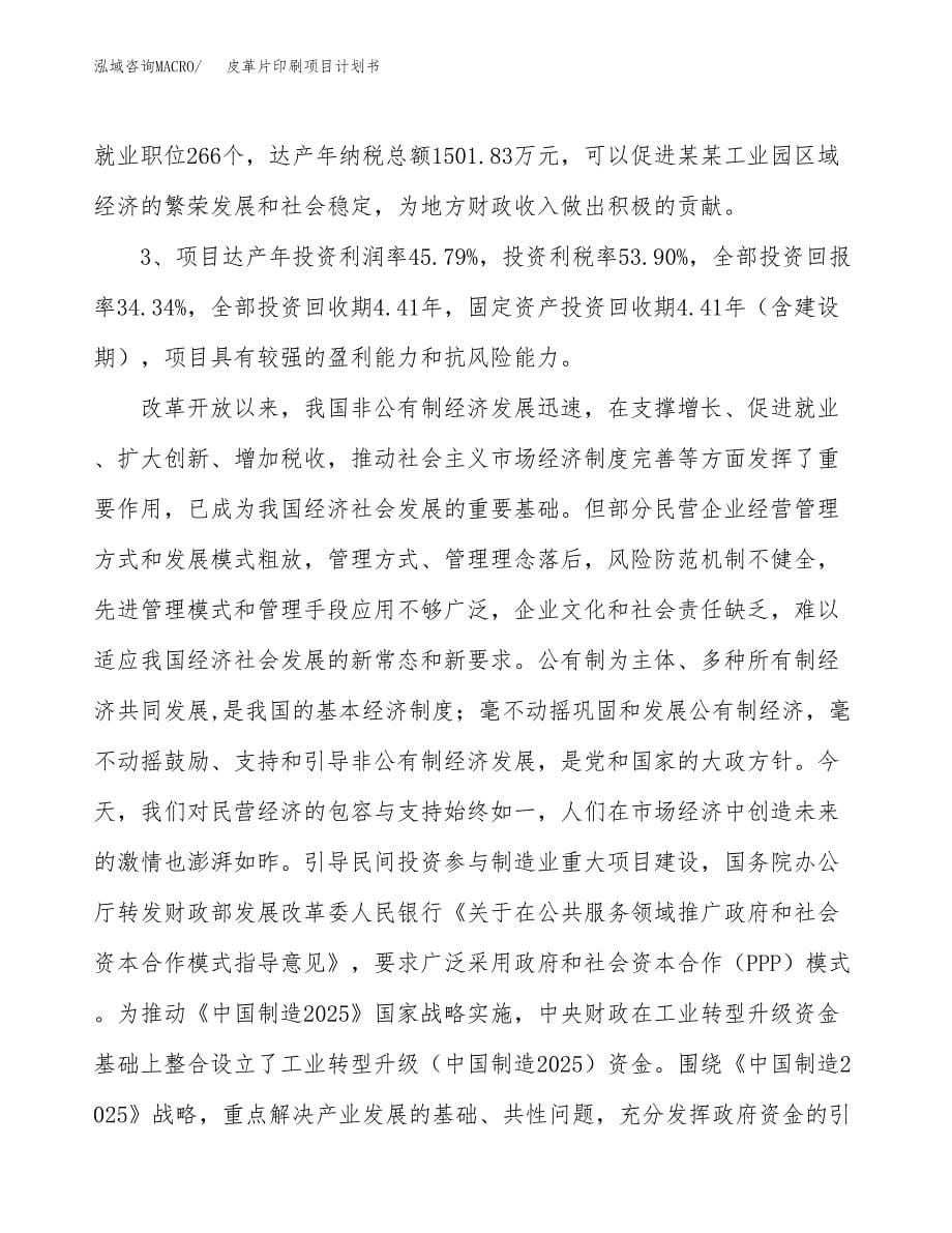 皮革片印刷项目计划书.docx_第5页