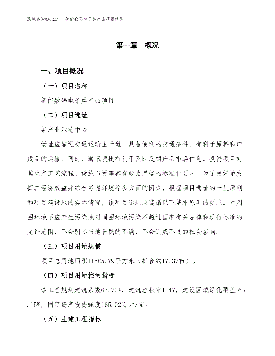 智能数码电子类产品项目报告.docx_第1页