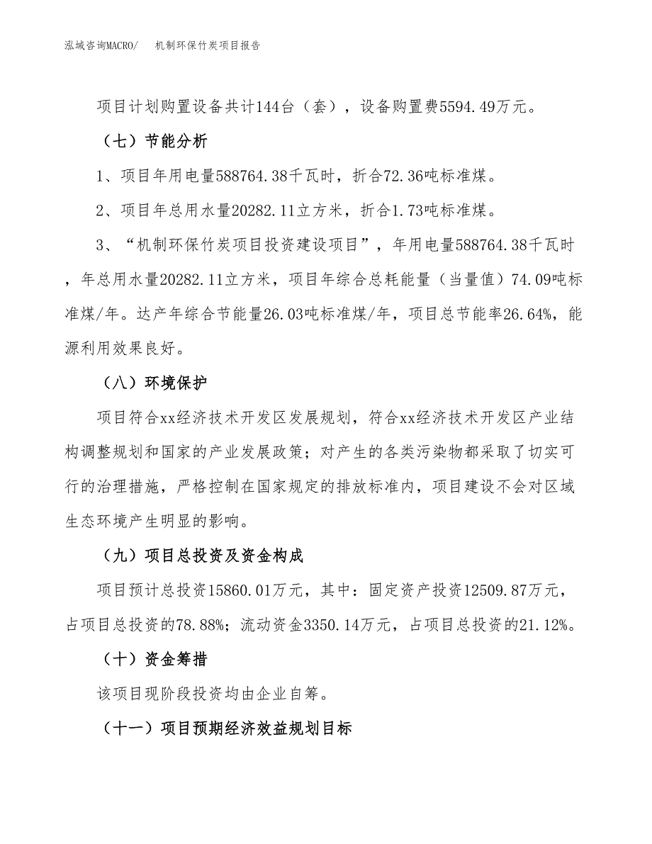 机制环保竹炭项目报告.docx_第2页